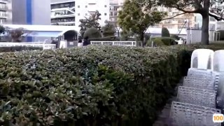全免费A级毛片免费看网站_国产成人免费ā片在线观看_精品久久久🐓